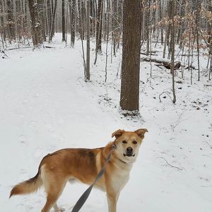 Meet your Posher, Daniela